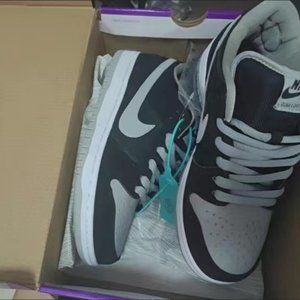 Nike SB Dunk Low "Shadow gray"